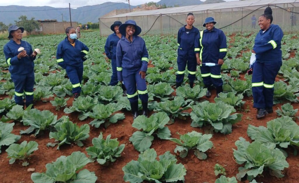 Agriculture Students receiving practical training at Knoxnet Tech Centre Zambia